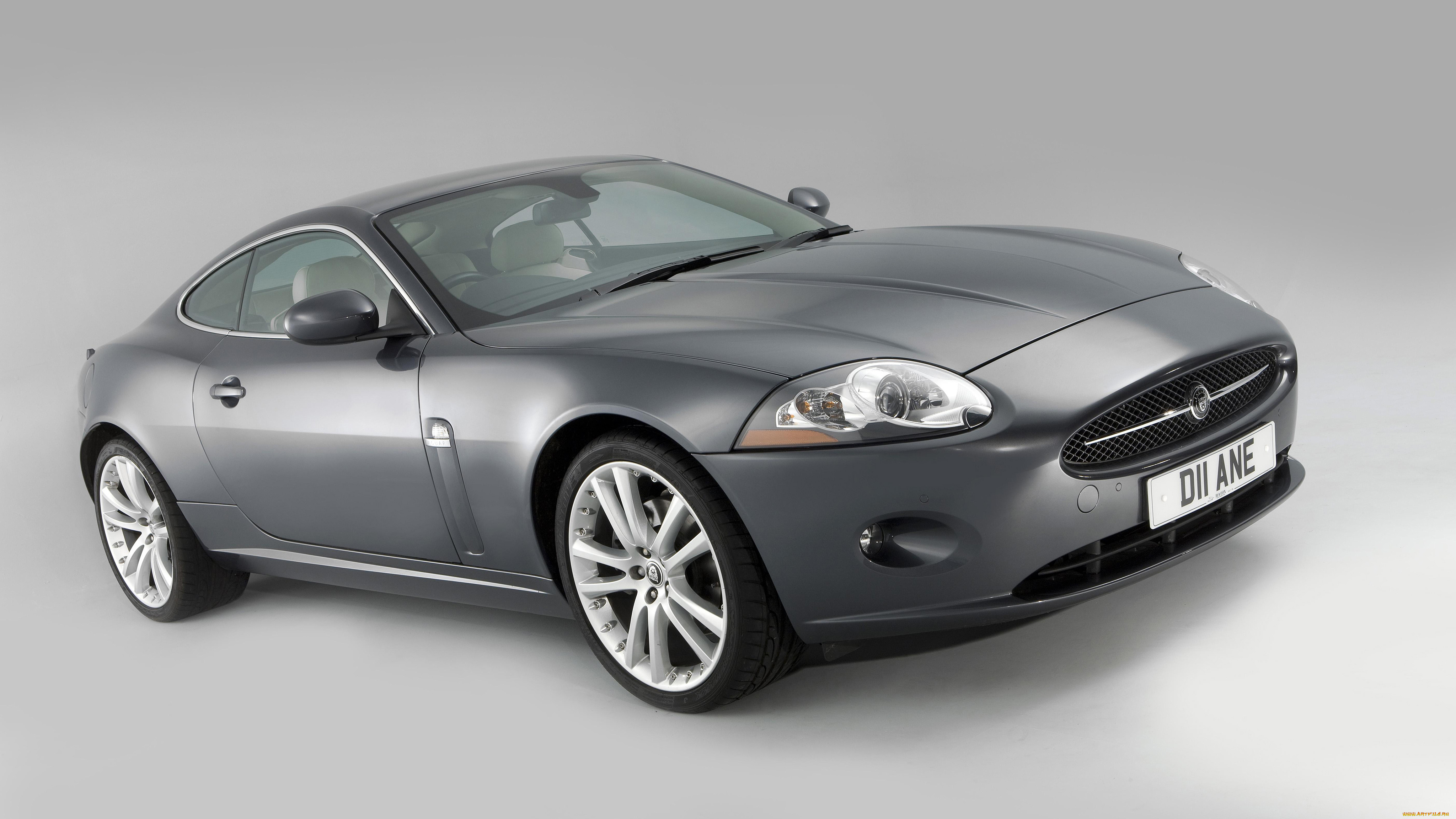 , jaguar
